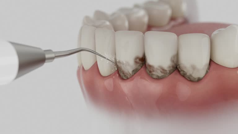 Reliable Dental contractor in Verandah, FL by Dentist Open Now